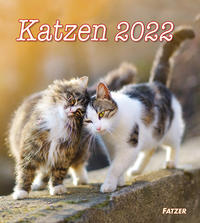 Katzen 2022 (Wandkalender)