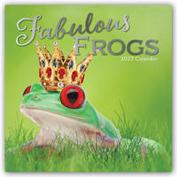 Fabulous Frogs – Fabelhafte Frösche 2022 – 16-Monatskalender