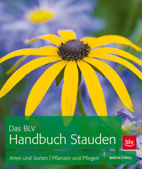 Das BLV Handbuch Stauden