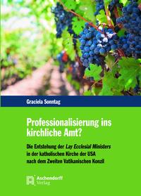 Professionalisierung ins kirchliche Amt?