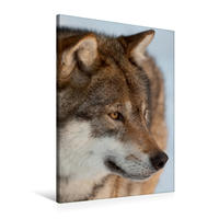 Premium Textil-Leinwand 60 x 90 cm Hoch-Format Emotionale Momente: Der Wolf. | Wandbild, HD-Bild auf Keilrahmen, Fertigbild auf hochwertigem Vlies, Leinwanddruck von Ingo Gerlach