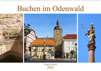 Buchen im Odenwald (Wandkalender 2023 DIN A2 quer)