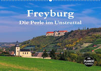 Freyburg - Die Perle im Unstruttal (Wandkalender 2022 DIN A2 quer)