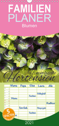 Himmlische Hortensien - Familienplaner hoch (Wandkalender 2021 , 21 cm x 45 cm, hoch)