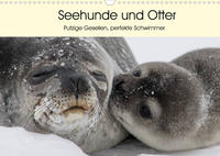 Seehunde und Otter. Putzige Gesellen, perfekte Schwimmer (Wandkalender 2022 DIN A3 quer)