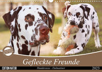 Gefleckte Freunde - Hunderasse Dalmatiner (Wandkalender 2023 DIN A3 quer)