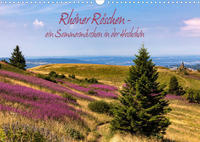 Rhöner Röschen - ein Sommermärchen in der Hochrhön (Wandkalender 2023 DIN A3 quer)