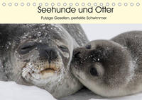 Seehunde und Otter. Putzige Gesellen, perfekte Schwimmer (Tischkalender 2022 DIN A5 quer)