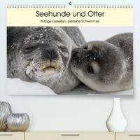 Seehunde und Otter. Putzige Gesellen, perfekte Schwimmer (Premium, hochwertiger DIN A2 Wandkalender 2023, Kunstdruck in Hochglanz)