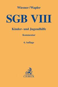 SGB VIII