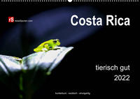 Costa Rica tierisch gut 2022 (Wandkalender 2022 DIN A2 quer)