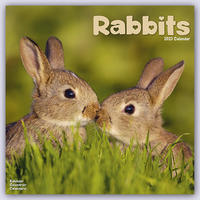 Rabbits - Kaninchen 2023 - 16-Monatskalender