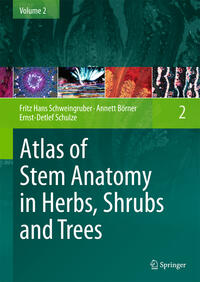 Atlas of Stem Anatomy in Herbs, Shrubs and Trees