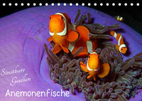 Anemonenfische - Streitbare Gesellen (Tischkalender 2023 DIN A5 quer)