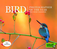 Bird Photographer of the Year – Vogel Fotografen des Jahres 2023