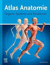 Atlas Anatomie für Laien