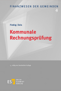 Kommunale Rechnungsprüfung