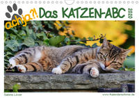 achja - Das Katzen-ABC (Wandkalender 2020 DIN A4 quer)