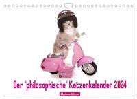 Der "philosophische" Katzenkalender 2024 (Wandkalender 2024 DIN A4 quer), CALVENDO Monatskalender