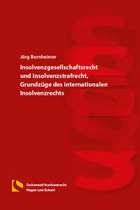 Insolvenzgesellschaftsrecht und Insolvenzstrafrecht, Grundzüge des internationalen Insolvenzrechts