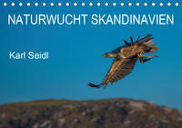 Naturwucht Skandinavien (Tischkalender 2020 DIN A5 quer)