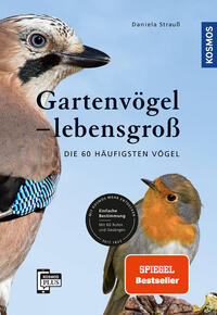 Gartenvögel lebensgroß