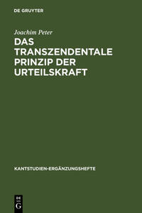 Das transzendentale Prinzip der Urteilskraft