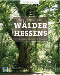 Die schönsten Wälder Hessens