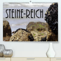 Steine-Reich (Premium, hochwertiger DIN A2 Wandkalender 2020, Kunstdruck in Hochglanz)