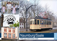 Naumburg/Saale - Bilder einer liebenswerten Stadt (Wandkalender 2022 DIN A3 quer)