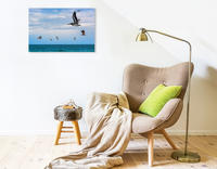 Premium Textil-Leinwand 750 x 500 cm Quer-Format Vogelflug über dem Meer | Wandbild, HD-Bild auf Keilrahmen, Fertigbild auf hochwertigem Vlies, Leinwanddruck von None U-DO