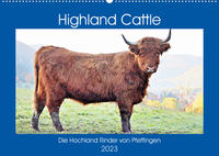 Highland Cattle, die Hochlandrinder aus Pfeffingen (Wandkalender 2023 DIN A2 quer)