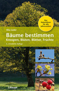 Bäume bestimmen - Knospen, Blüten, Blätter, Früchte