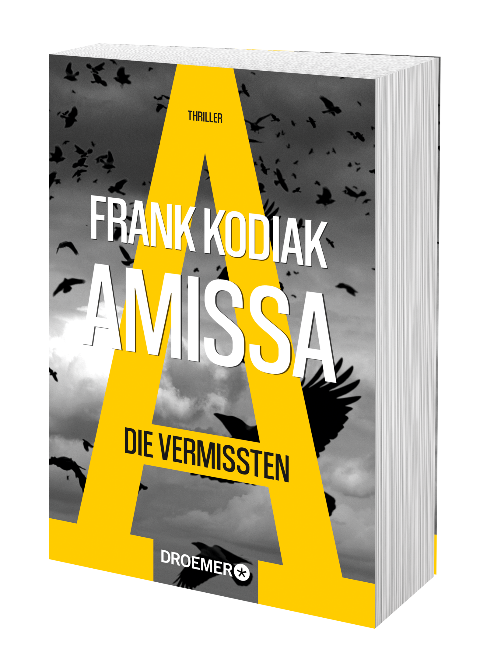 Amissa. Die Vermissten