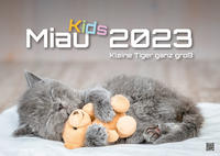 Miau Kids - kleine Tiger ganz groß - Der Katzenkalender - 2023 - Kalender DIN A3