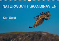 Naturwucht Skandinavien (Wandkalender 2020 DIN A3 quer)