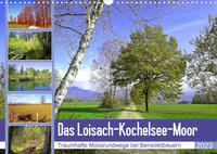 Das Loisach-Kochelsee-Moor Traumhafte Moosrundwege bei Benediktbeuern (Wandkalender 2023 DIN A3 quer)