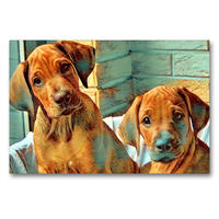 Premium Textil-Leinwand 90 x 60 cm Quer-Format Rhodesian Ridgeback Welpen Rüden Wurfgeschwister | Wandbild, HD-Bild auf Keilrahmen, Fertigbild auf hochwertigem Vlies, Leinwanddruck von Dagmar Behrens