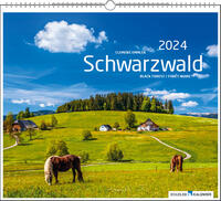 Schwarzwald 2024