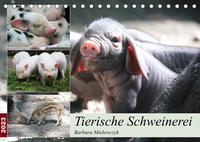 Tierische Schweinerei (Tischkalender 2023 DIN A5 quer)