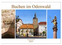 Buchen im Odenwald (Wandkalender 2025 DIN A3 quer), CALVENDO Monatskalender