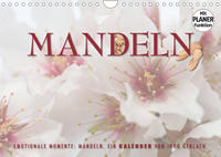 Emotionale Momente: Mandeln (Wandkalender 2023 DIN A4 quer)