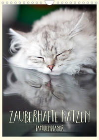 Zauberhafte Katzen - Familienplaner (Wandkalender 2022 DIN A4 hoch)