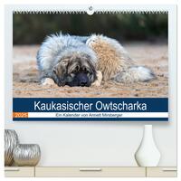 Kaukasischer Owtscharka (hochwertiger Premium Wandkalender 2025 DIN A2 quer), Kunstdruck in Hochglanz