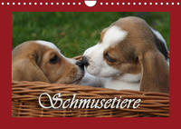 Schmusetiere (Wandkalender 2022 DIN A4 quer)