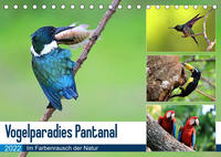 Vogelparadies Pantanal (Tischkalender 2022 DIN A5 quer)