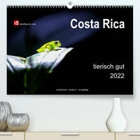 Costa Rica tierisch gut 2022 (Premium, hochwertiger DIN A2 Wandkalender 2022, Kunstdruck in Hochglanz)