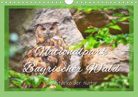 Nationalpark Bayrischer Wald - Die Stärke der Natur (Wandkalender 2020 DIN A4 quer)