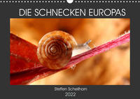 DIE SCHNECKEN EUROPAS (Wandkalender 2022 DIN A3 quer)