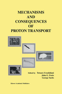 Mechanisms and Consequences of Proton Transport